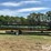 2000-john-deere-930f-image-2