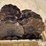 ron’s-mfg-33'-vertical-tillage-coulter-kit-image-13