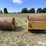pull-type-smooth-drum-roller-packers-image-6