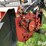 1997-case-ih-1020-image-18