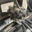 2025-giyi-gy-ts29-skid-steer-tree-scissors-image-13