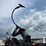 case-ih-ecolo-tiger-730b-image-22
