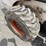 bobcat-853-image-17