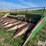 john-deere-853-image-1