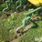john-deere-825-image-13