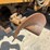vermeer-v8100-image-29