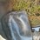 kinze-800-image-10