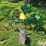 john-deere-825-image-4