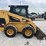 caterpillar-246-image-2