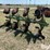 john-deere-4200-image-7