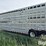 1978-barrett-livestock-image-8