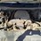2013-chevrolet-silverado-1500-image-28