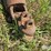 john-deere-aw-image-9