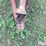 international-1150-image-11