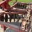 massey-ferguson-820-image-14