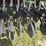 2003-great-plains-3s-3000-image-20
