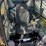 2018-caterpillar-299d2-image-23