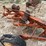 case-ih-5-image-20