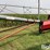 peck-1004-image-16