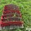 case-ih-7120-image-6