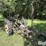 john-deere-h-image-7