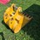 john-deere-24-image-4