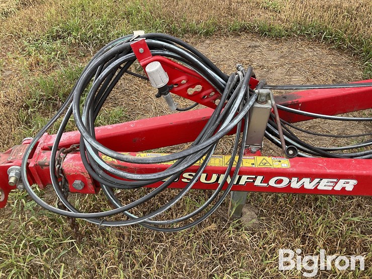 2013-sunflower-1435-image-12