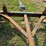 tandem-6-lug-running-gear-image-6