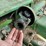 john-deere-34-image-12