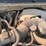 2013-chevrolet-silverado-1500-image-5