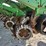 2009-john-deere-1770nt-image-40