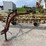 new-holland-259-image-1