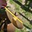 john-deere-110-image-18