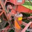 allis-chalmers-roto-baler-image-16
