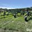 2010-john-deere-2410-image-1
