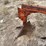 case-ih-5-image-17