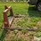 new-holland-80-image-4