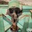 john-deere-25a-image-10