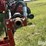 2013-case-ih-1250-image-10