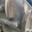 case-ih-magnum-290-image-15