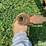 woods-hd315-image-12