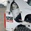 bobcat-s250-image-20