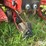 case-ih-800-image-15