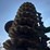2022-great-plains-ht1100-25-image-47