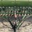 john-deere-10-image-12