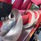 case-ih-2408-image-24