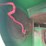 john-deere-9560-sts-image-117