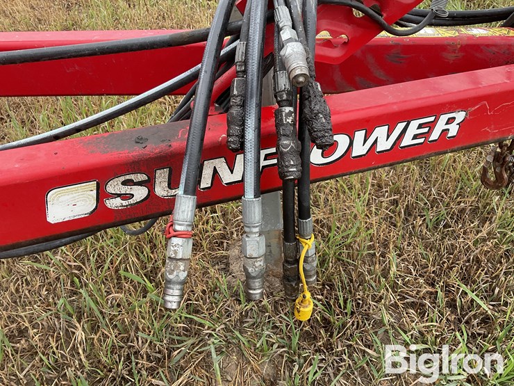 2013-sunflower-1435-image-14