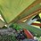 dakon-280-image-15