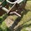 john-deere-810-image-12